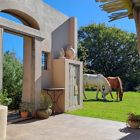 Akasha Mountain Retreat, New Location Villa Heidelberg  Exterior foto